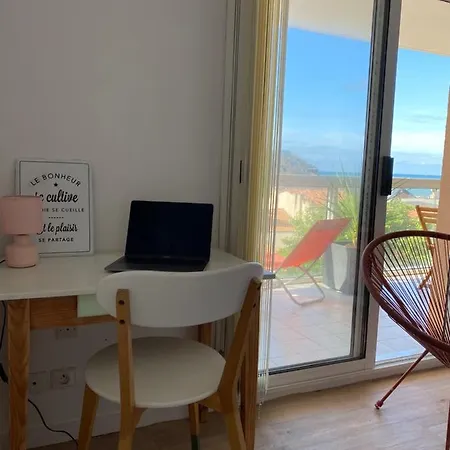 Le Kifanlo - Avec Grande Terrasse Vue Et à 100 M *